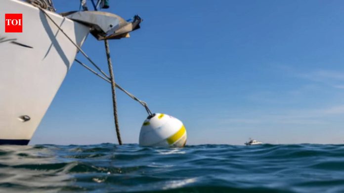 At England’s Studland Bay, replacing damaging boat anchors with eco-moorings cut scars in seagrass by 94%; researchers say the recovering meadow is also supporting a growing population of seahorses