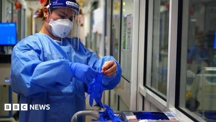Covid inquiry PPE report –  a look at the key findings