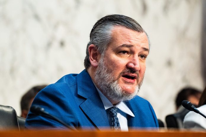Cruz says winning AI race against China is ‘single most important economic question’ for America