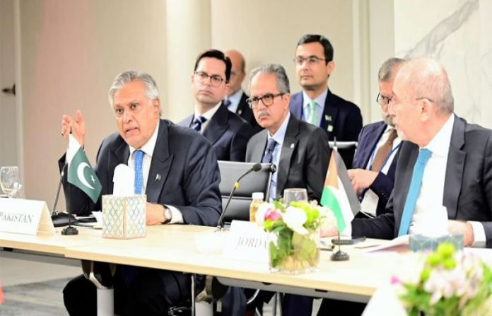 DPM condemns continued illegal settlement activities in Occupied West Bank – SUCH TV