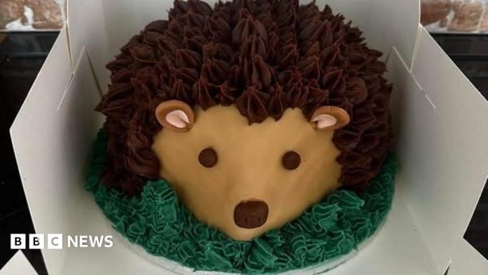 Fareham and Gosport volunteers bake free birthday cakes for kids