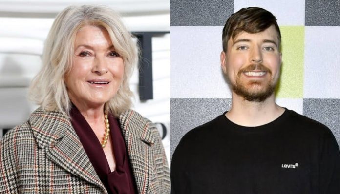 Martha Stewart shares her take on MrBeast after three days together