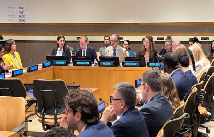 Pakistan urges UN to implement resolutions for settlement of Kashmir issue – SUCH TV