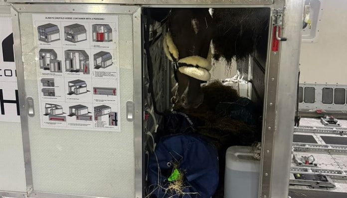 Pakistan’s ‘Mirage’ safely lands in Japan ahead of its Asian Games eventing debut