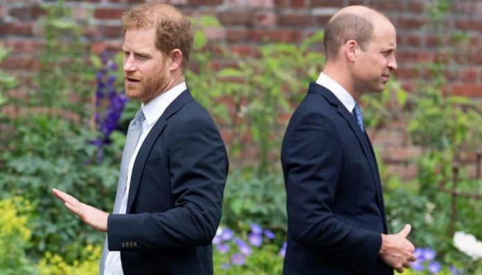 Prince William, Prince Harry suffer emotional setback over Diana’s legacy