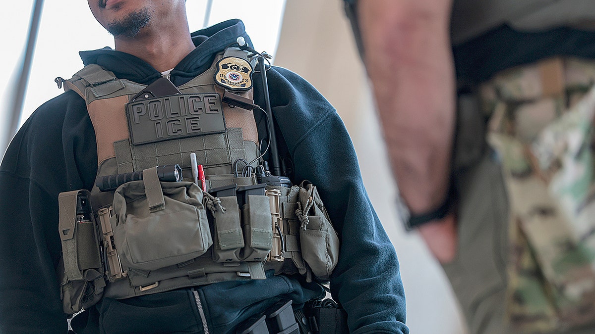 ICE Agent