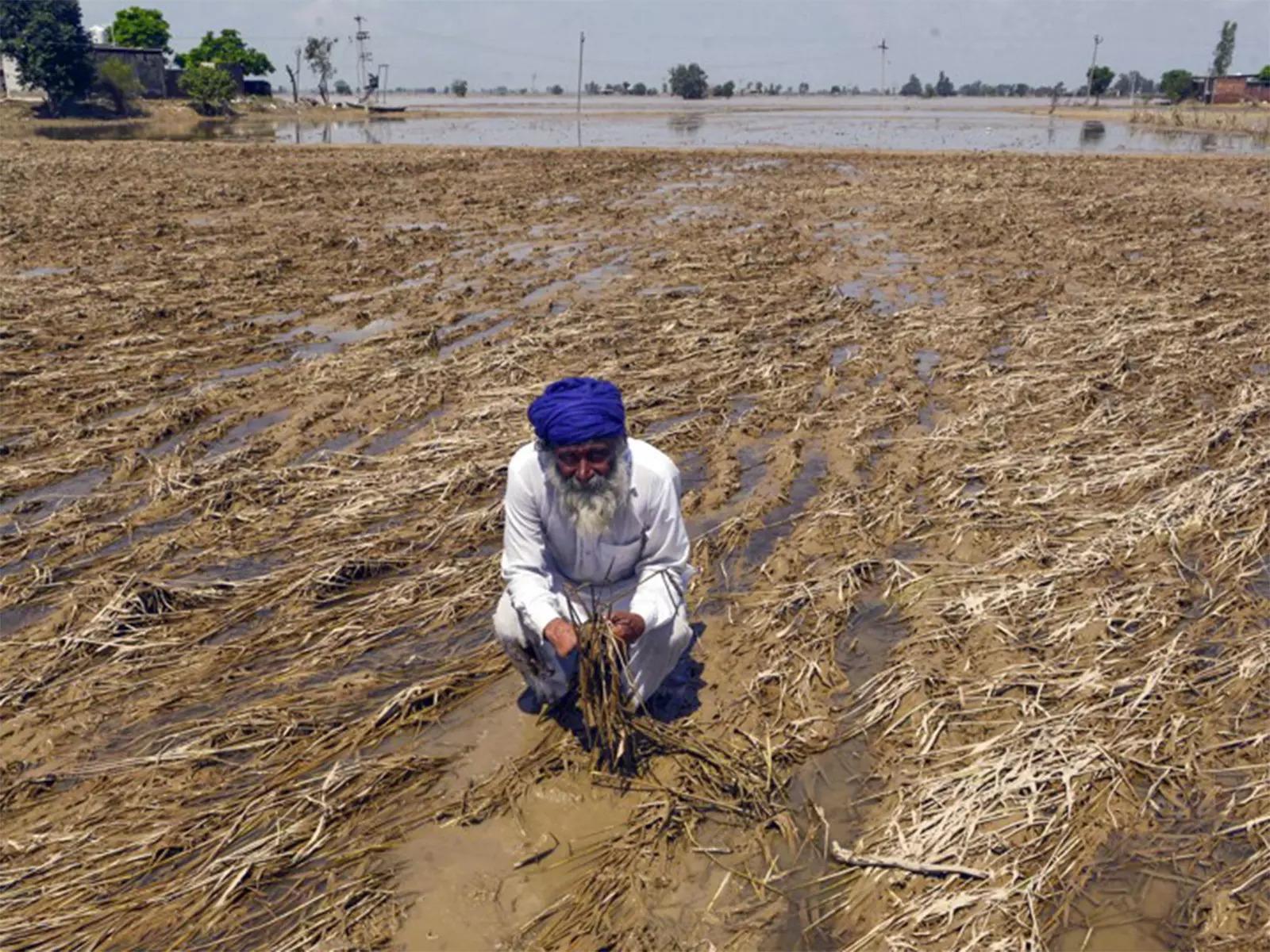 India rainfall deficit