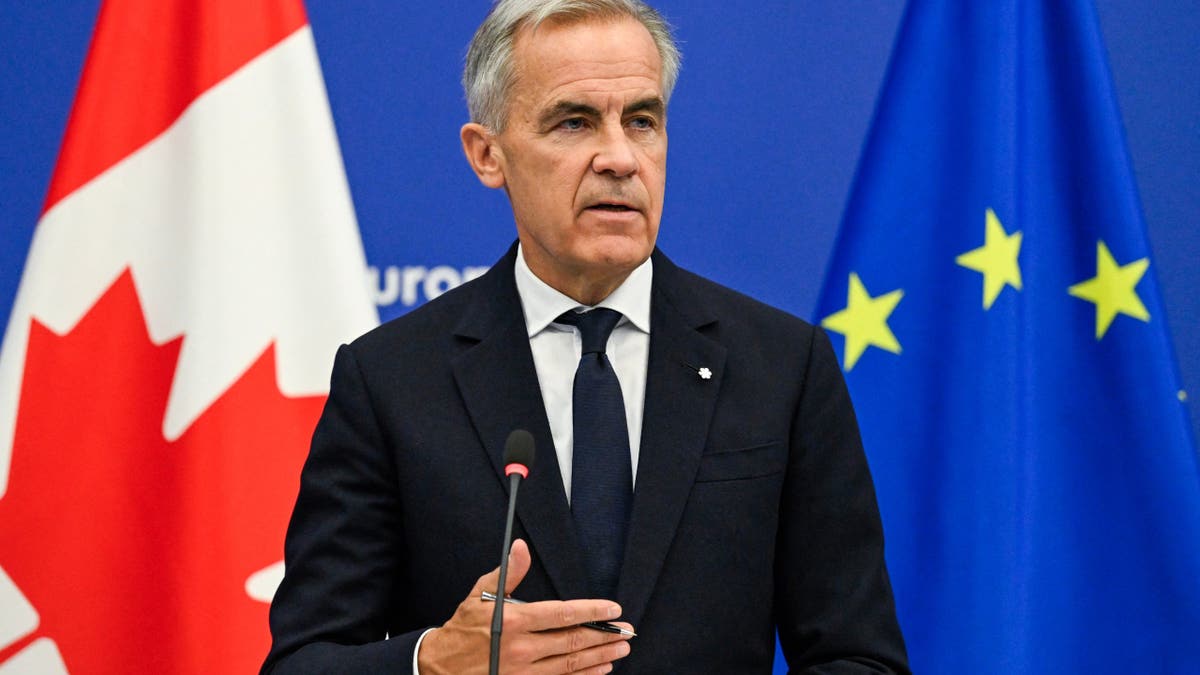 Mark Carney delivers a speech in the European Parliament hemicycle in Strasbourg.