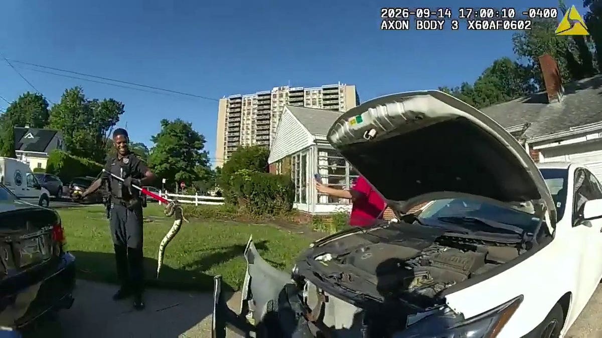 Officers dismantle a vehicle to rescue a trapped python.