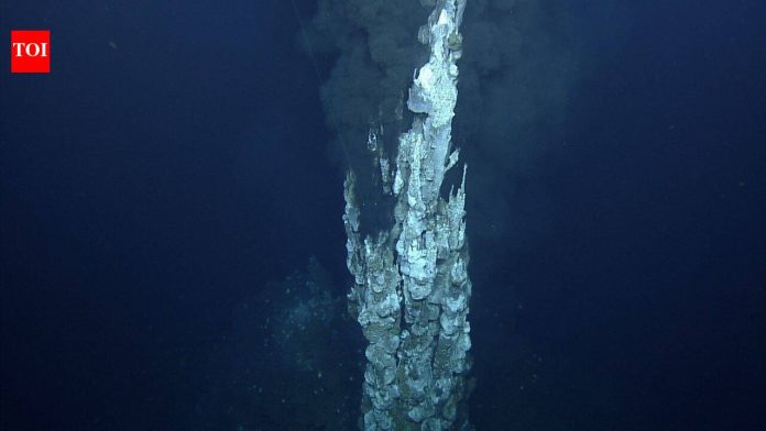 An underwater chimney collapsed at a Pacific hydrothermal vent; scientists discovered a new one growing at its location