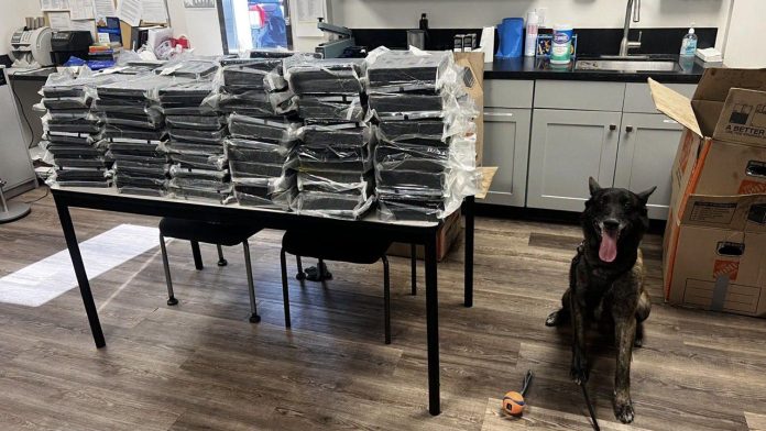 California K-9 Otis helps police seize 440 pounds of cocaine during Alhambra traffic stop
