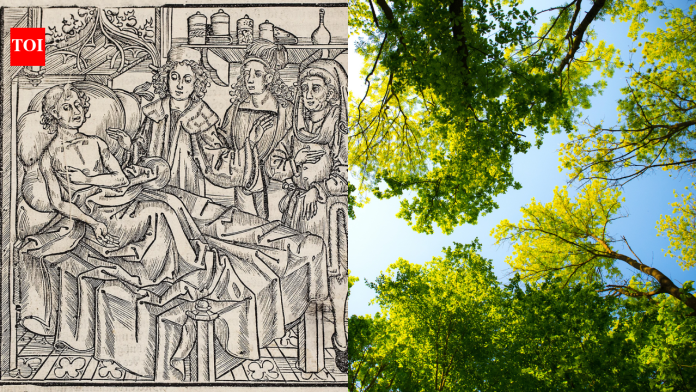 Europe’s plant diversity fell after the Black Death as farmland was abandoned; analysis of 109 fossil pollen records shows it recovered as cultivation returned