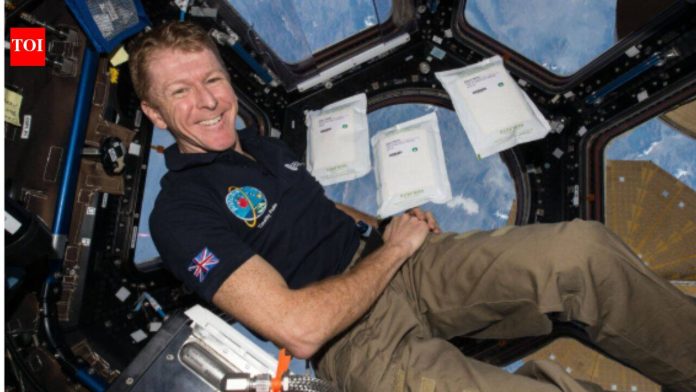 In 2015, 2kg of rocket seeds went to the space station; after their return, 600,000 UK children helped test them, and researchers found they grew more slowly but remained viable