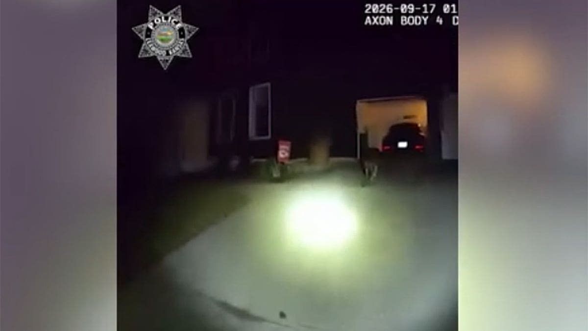 Dog walks up driveway to garage of home in Kansas