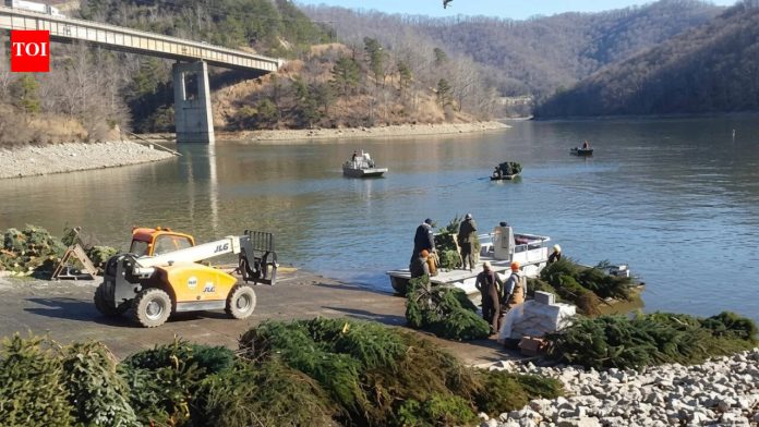 Kentucky collected about 5,000 discarded Christmas trees in 2026 instead of sending them to landfills; officials sank 1,700 in a single lake to replace lost underwater shelter for fish