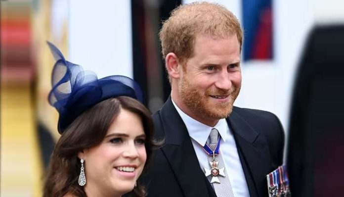 Prince Harry erupts in anger after beloved Princess’ shocking blunder