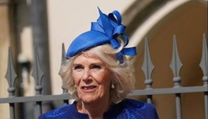 Queen Camilla set to join Strictly audience if Mike Tindall takes on surprise TV challenge