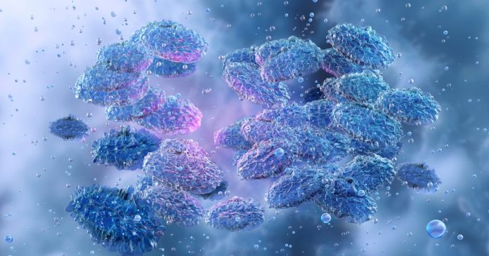 Russia plays down plague fears and denies lab accident, says scientist died of