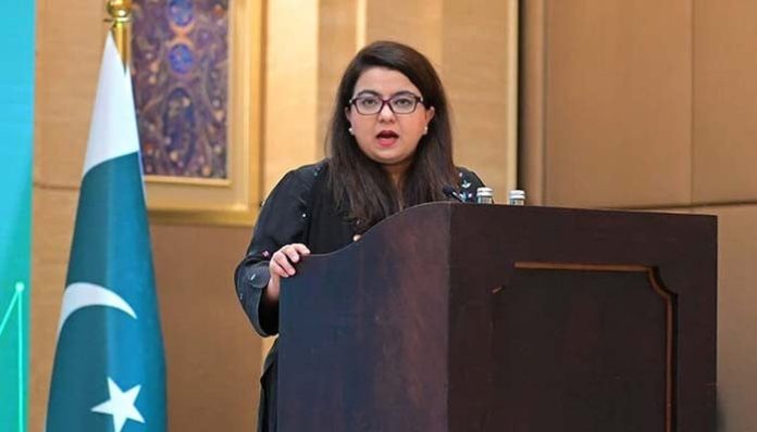 Satellite internet framework nearing completion in Pakistan to boost connectivity: minister