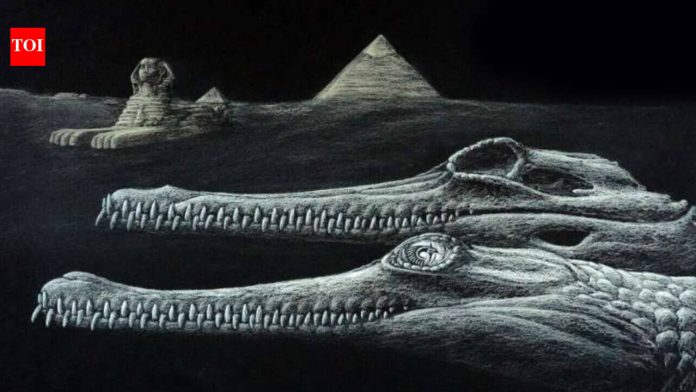 Scientists identified a new extinct crocodile species from the same Egyptian rocks used to build the Great Sphinx; even the fossil is missing the tip of its snout, echoing the monument