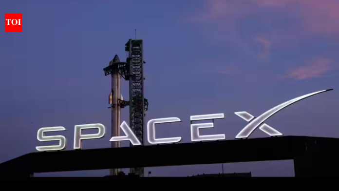 SpaceX profits skyrocket to .4 billion as revenue jumps 161%, AI business surges 830%