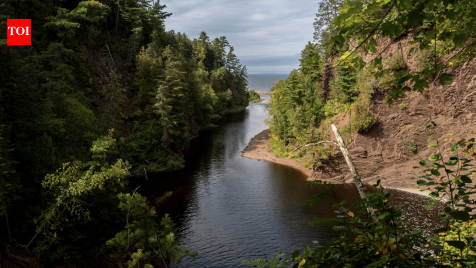 US wildlife partners spent years protecting more than 1,700 acres along Wisconsin’s Lake Superior shore; the project has restored wetlands, treated invasive plants and reconnected cold-water habitat