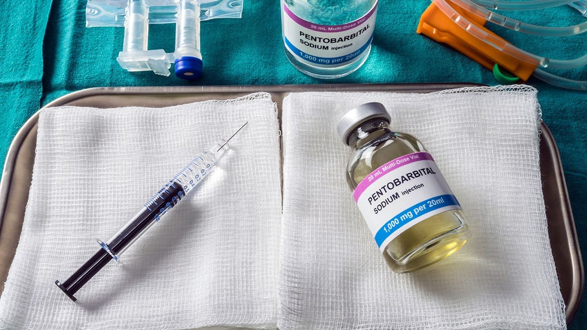 A vial of pentobarbital used for euthanasia and lethal injection sits in a hospital setting.