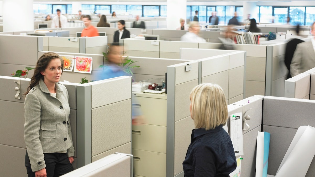 People working in cubicles