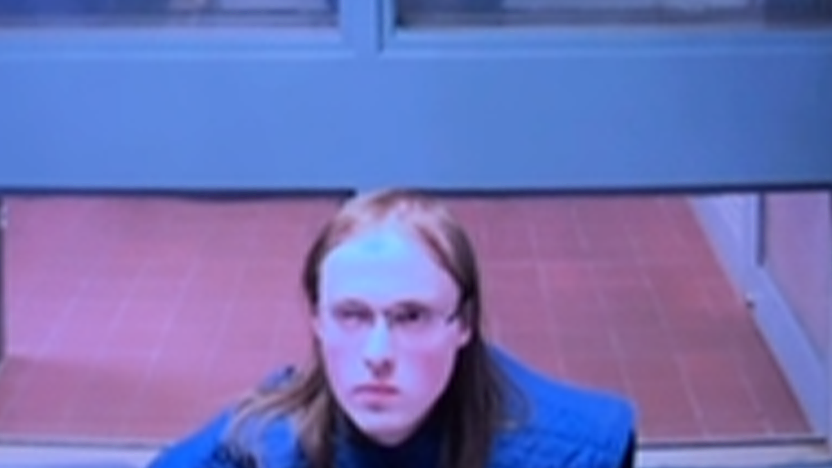 Ryan Hanafin appears virtually at an extradition hearing