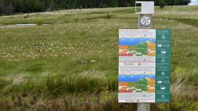 PC: Lost Peatlands of South Wales project South Wales rewetted damaged peatlands; monitoring recorded expanding water-vole signs alongside recovering bog plants and wildlife