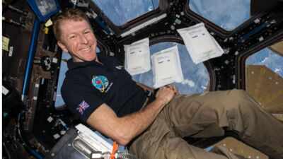 Tim PeakePhoto credit: Esa.int In 2015, 2kg of rocket seeds went to the space station; after their return, 600,000 UK children helped test them, and researchers found they grew more slowly but remained viable